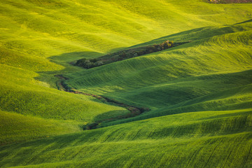 Tuscany spring landscape italian green fields