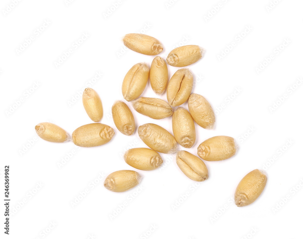 Wall mural wheat grains isolated on white background, top view - Wall murals