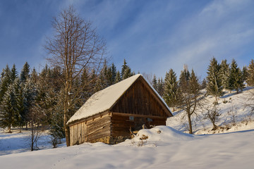 House covered in snow