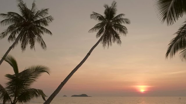 Palm trees on beautiful tropical beach at sunset in Thailand