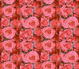 light red roses seamless background