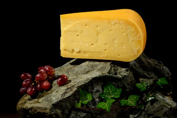 Cheesе, Art photos of cheese