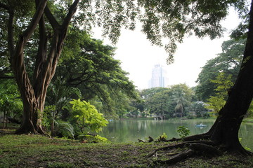 pond in the city park