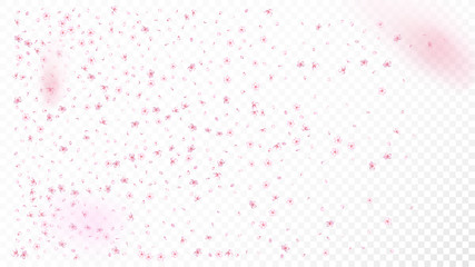 Nice Sakura Blossom Isolated Vector. Pastel Blowing 3d Petals Wedding Pattern. Japanese Blooming Flowers Wallpaper. Valentine, Mother's Day Pastel Nice Sakura Blossom Isolated on White