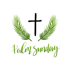Green Palm leafs vector icon. Palm Sunday text handwritten font. - 246374151
