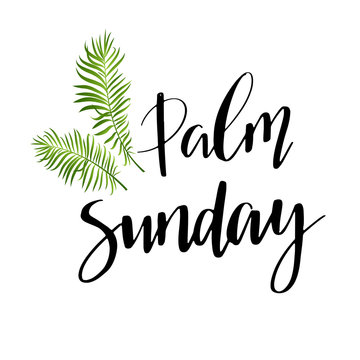 Green Palm leafs vector icon. Palm Sunday text handwritten font.