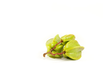 Leaf Star fruit Close up