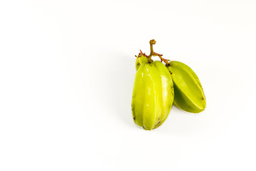 Leaf Star fruit Close up