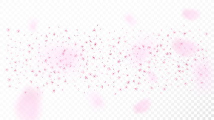 Nice Sakura Blossom Isolated Vector. Tender Flying 3d Petals Wedding Border. Japanese Blooming Flowers Illustration. Valentine, Mother's Day Beautiful Nice Sakura Blossom Isolated on White