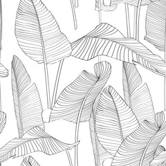 Schöne Palme-Blatt-Schattenbild-nahtlose Muster-Hintergrund-Illustration EPS10. Schwarze Linien auf weißem Hintergrund.