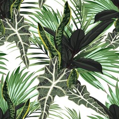 Beautiful seamless floral pattern background with tropical bright palm leaves and exotic ficus plants. Perfect for wallpapers, web page backgrounds, surface textures, textile. White background.