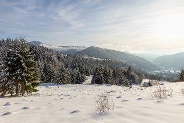 Fototapeta na wymiar Mountain landscape with fir trees covered in snow
