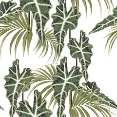 Seamless pattern with exotic tropical plant, palms and exotic plant leaves. Tropical illustration. Jungle foliage. White background.