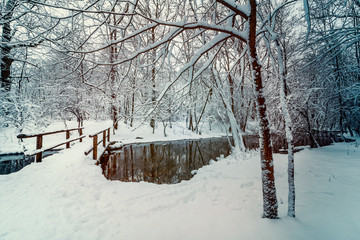 Winterzauber