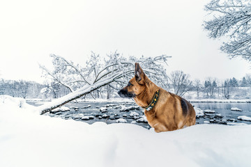 Winterzauber
