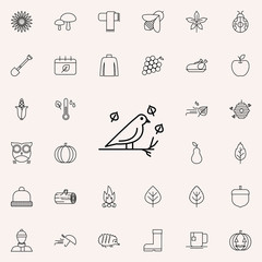 Fototapeta premium bird icon. autumn icons universal set for web and mobile
