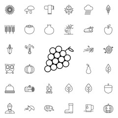 grapes icon. autumn icons universal set for web and mobile