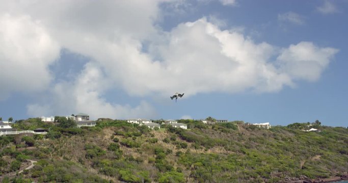 Vol d'un oiseau p&eacute;lican qui plonge dans l'eau pour p&ecirc;cher
