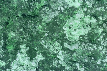 grunge old fungus on castle wall texture - wonderful abstract photo background