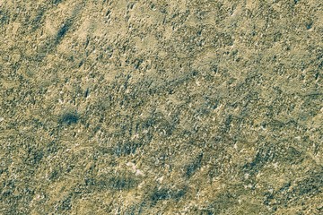 Gray ground.