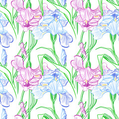 Iris flowers vector seamless pattern flowered background of botany texture