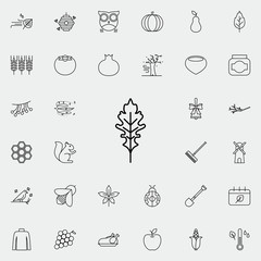 leaf icon. autumn icons universal set for web and mobile