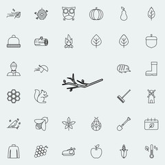 branch icon. autumn icons universal set for web and mobile