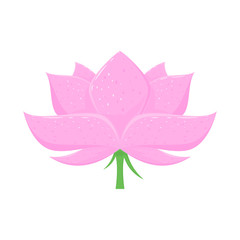Lotus Flower