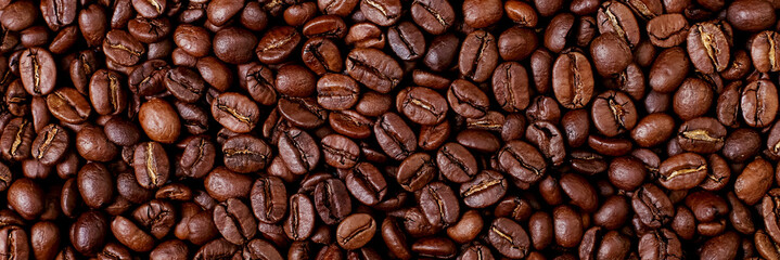 Fototapeta premium Aroma roasted coffee beans, brown banner background. Soft focus close up.