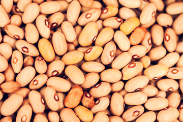 Beans background (Phaseolus) – food for veggies