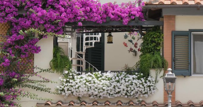 Flowers adorning window on Piazza Sant Antonino, Sorrento, Costiera Amalfitana (Amalfi Coast), UNESCO World Heritage Site, Campania, Italy, Europe