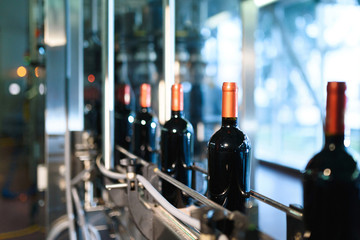 wine bottles on continuous belt