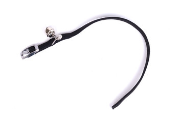 Collar cat, isolated