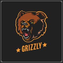 The emblem with grizzly bear for a sport team. Print design for t-shirts.