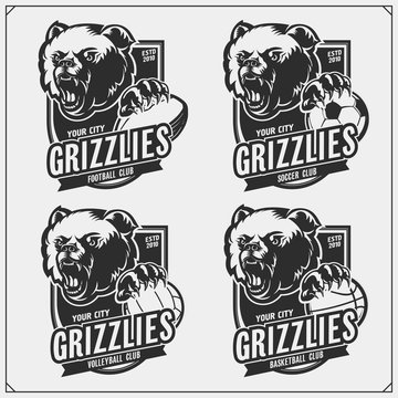 Volleyball, baseball, soccer and football logos and labels. Sport club emblems with grizzly bear. Print design for t-shirts.