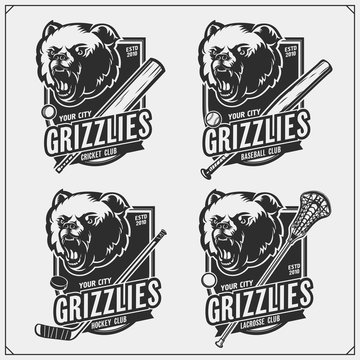 Cricket, baseball, lacrosse and hockey logos and labels. Sport club emblems with grizzly bear. Print design for t-shirts.