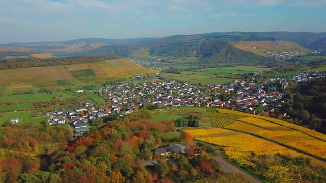 Aerial view of vineyards near Ayl in autumn, Saar River, Saar Valley, Rhineland-Palatinate, Germany