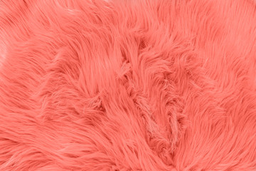 Pink fur background. Pink sheepskin background and texture.