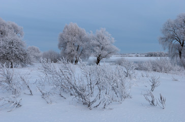Trees and grass in hoarfrost against the blue sky and river