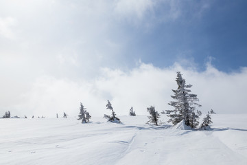 Beautiful winter day in Krkonose (Poland, Czech Republic)