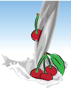 puring milk-cherry illustration