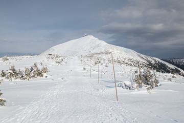 Peak of the Snezka mountain in winter (Krkonose)