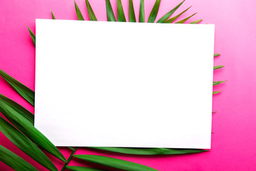 Blank piece of paper on big green leaf of parlor palm on pale pink white gradient background. Empty notebook sheet on branch of tropical plant. Top view, close up, copy space, flat lay, mock up.