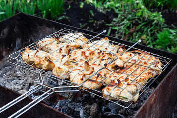 Cooking meat on fire. Fry meat on metal grid. Barbecue on nature for party.