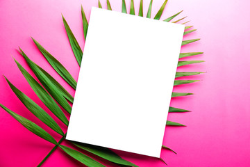 Blank piece of paper on big green leaf of parlor palm on pale pink white gradient background. Empty notebook sheet on branch of tropical plant. Top view, close up, copy space, flat lay, mock up.