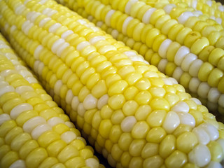 Yellow and white corn cob