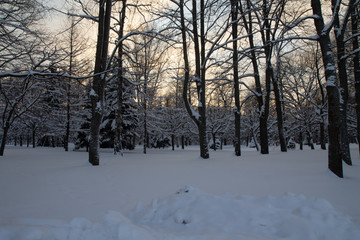 Peterhof, fountains and park in winter