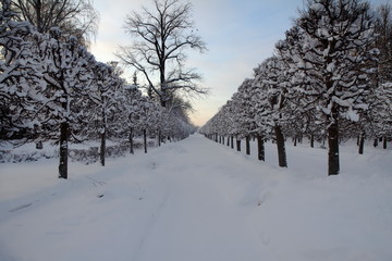 Peterhof, fountains and park in winter