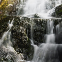 Scenic waterfall on mountain river in summer forest. Travel along river.