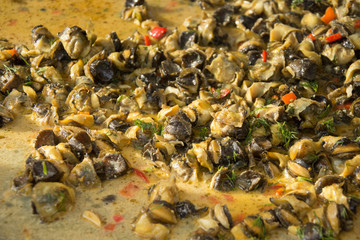 Fried Sea Snails with Chili,Rapane  Sulina,ROMANIA